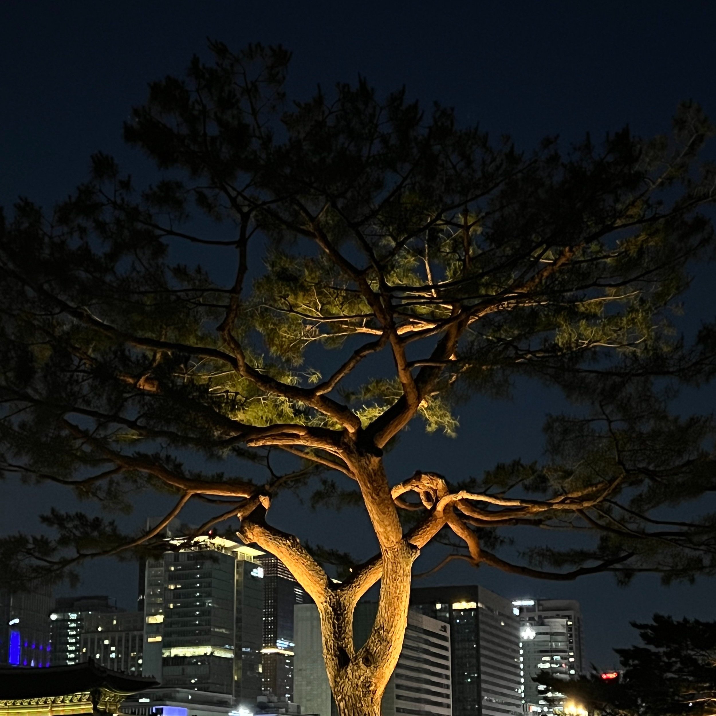 IMG_7489+2.jpg
