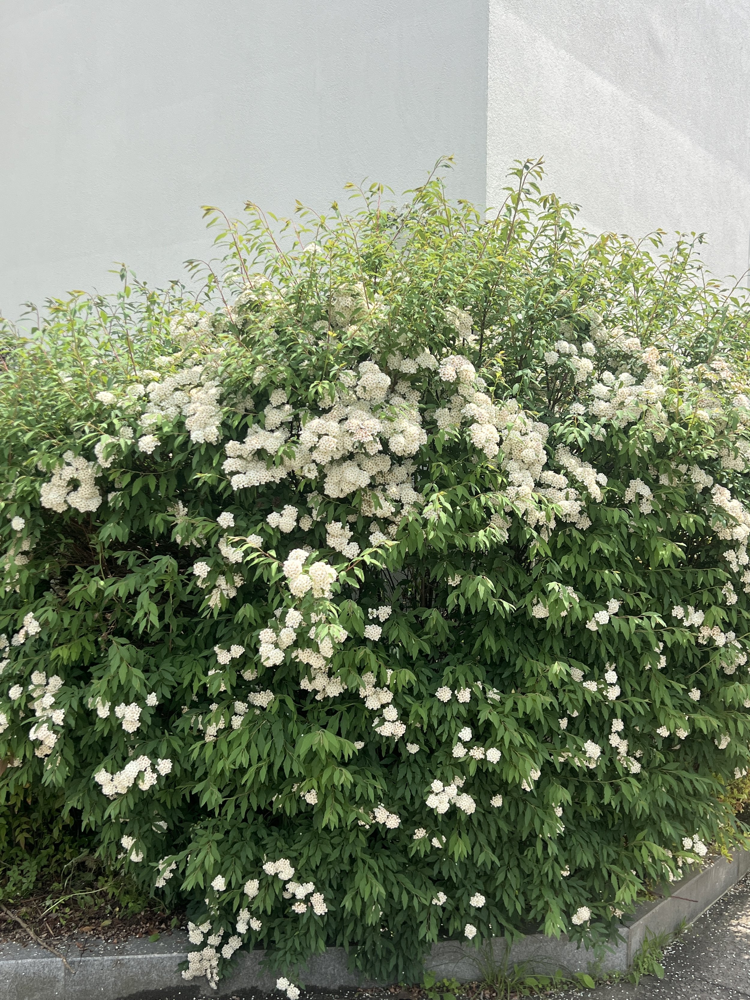 This Love will Keep Us