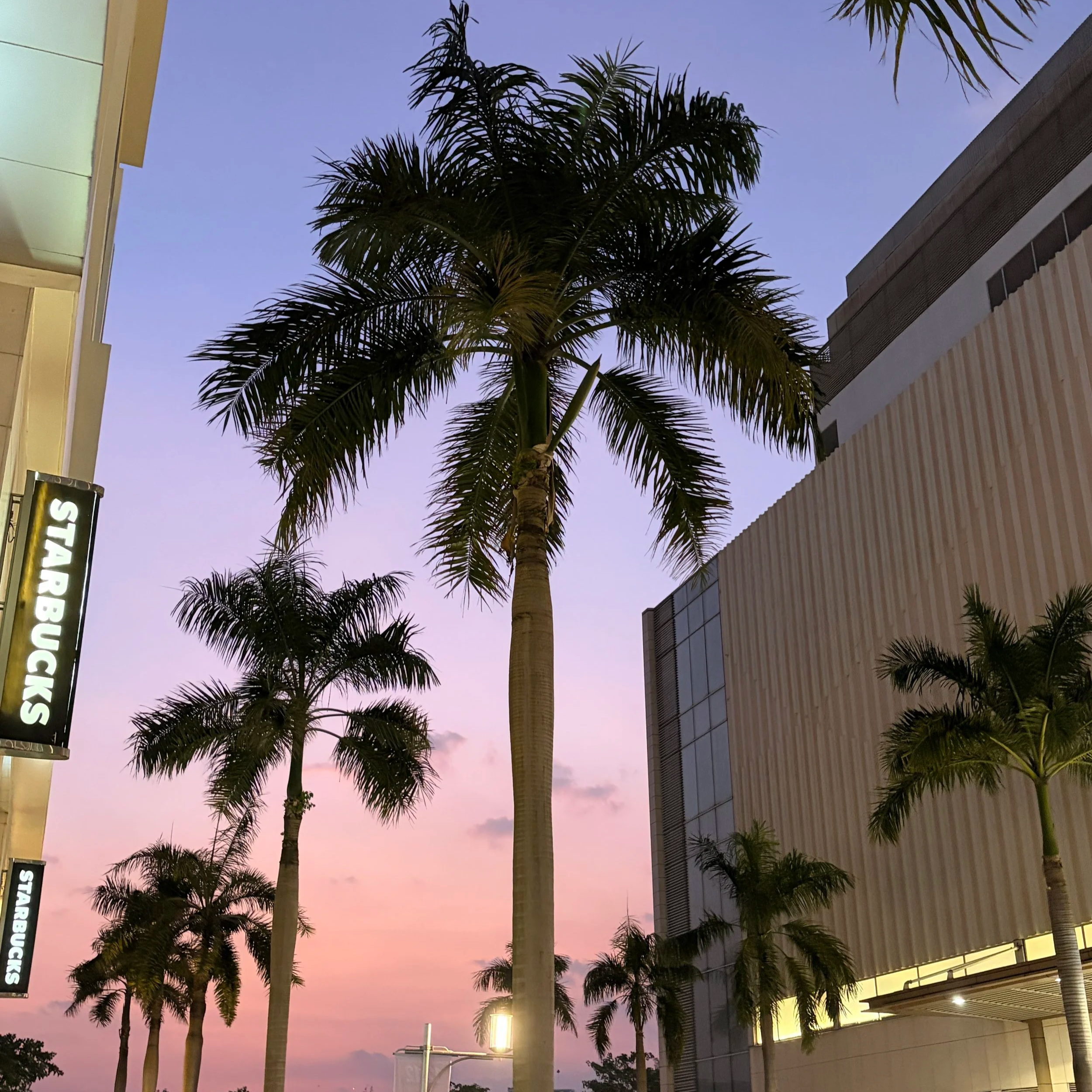 IMG_0173+2.png