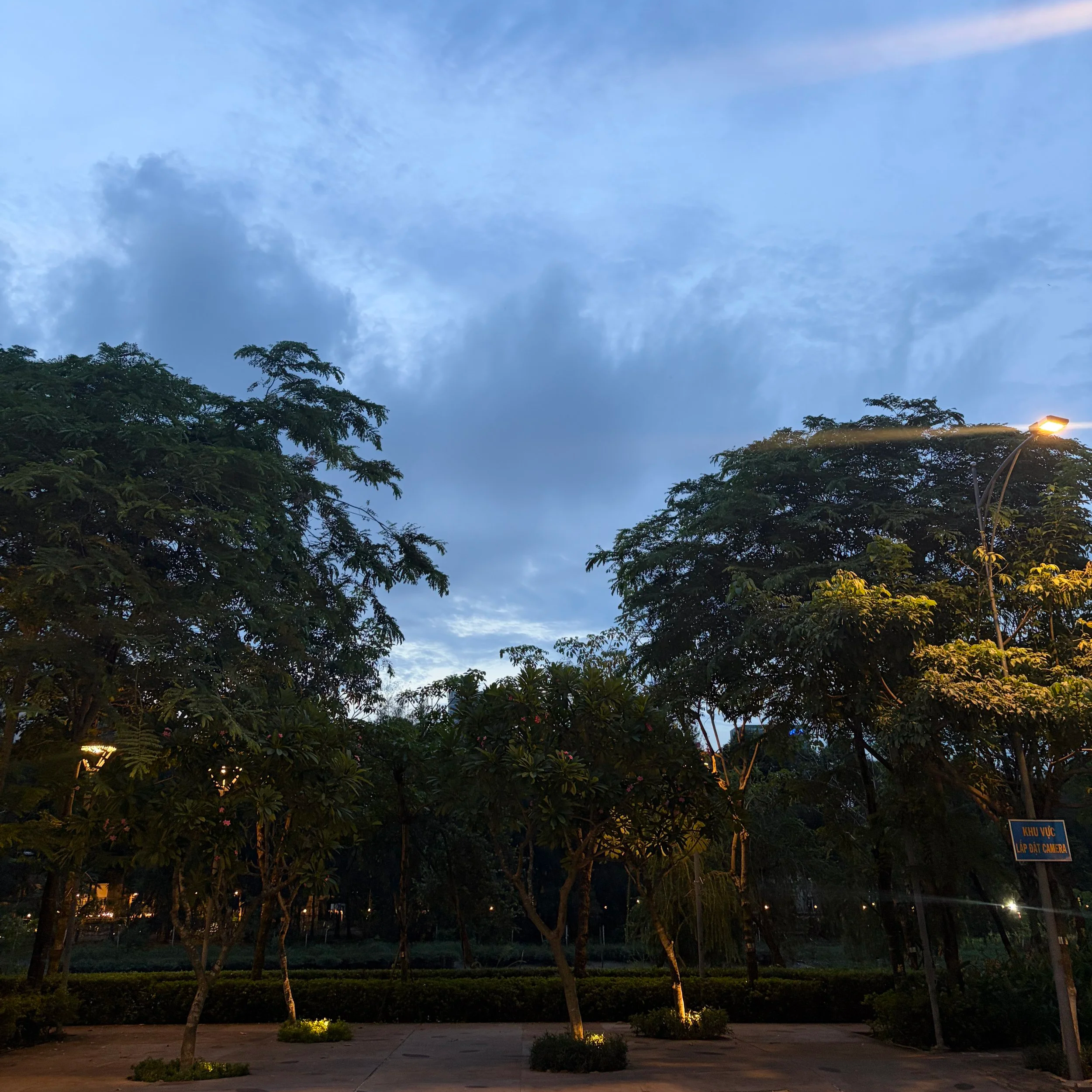 IMG_5447+3.png