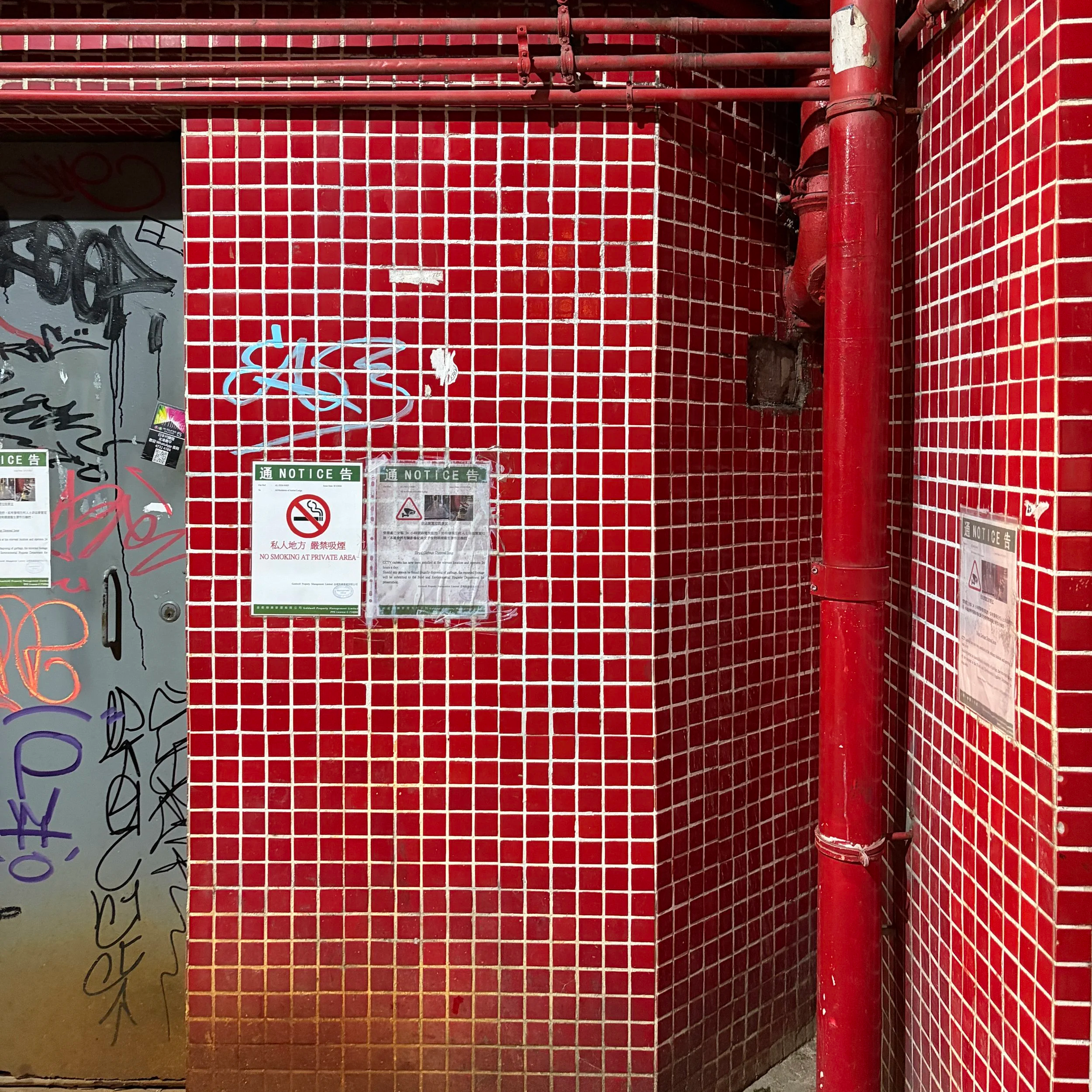 IMG_5925+4.png
