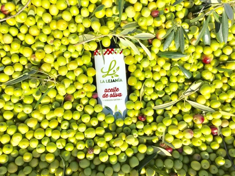 aceitunas y botella.jpg