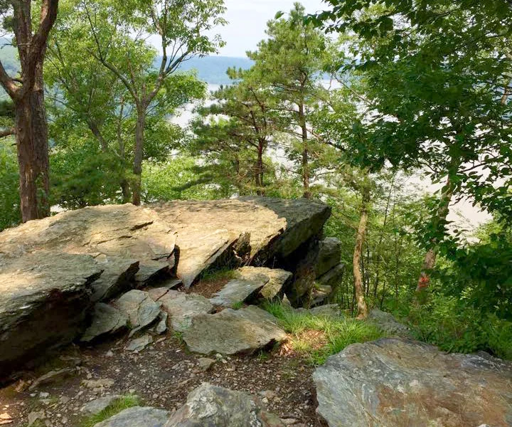 Overlook - wsr.jpg
