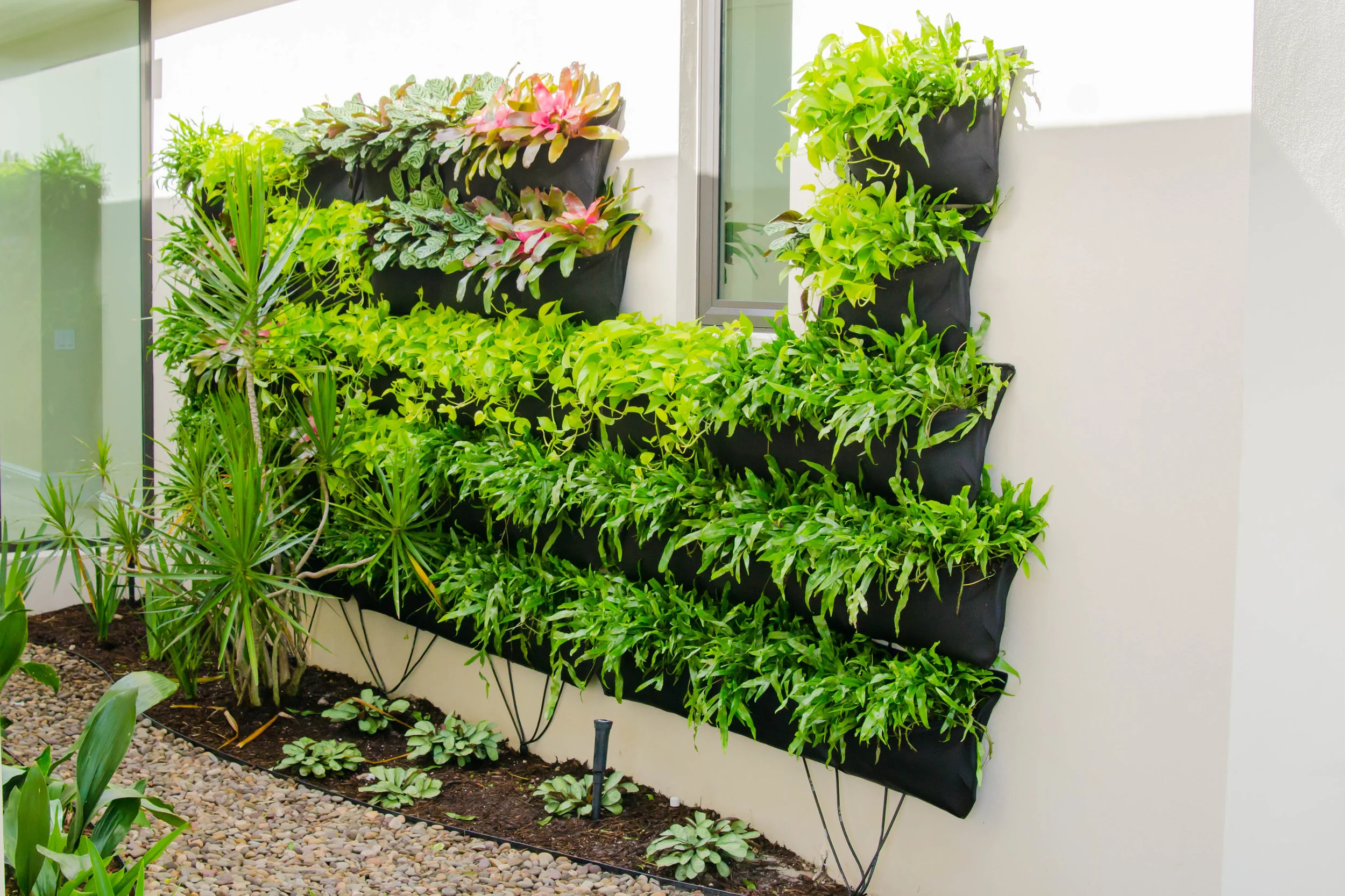 Living walls are an up and coming trend.