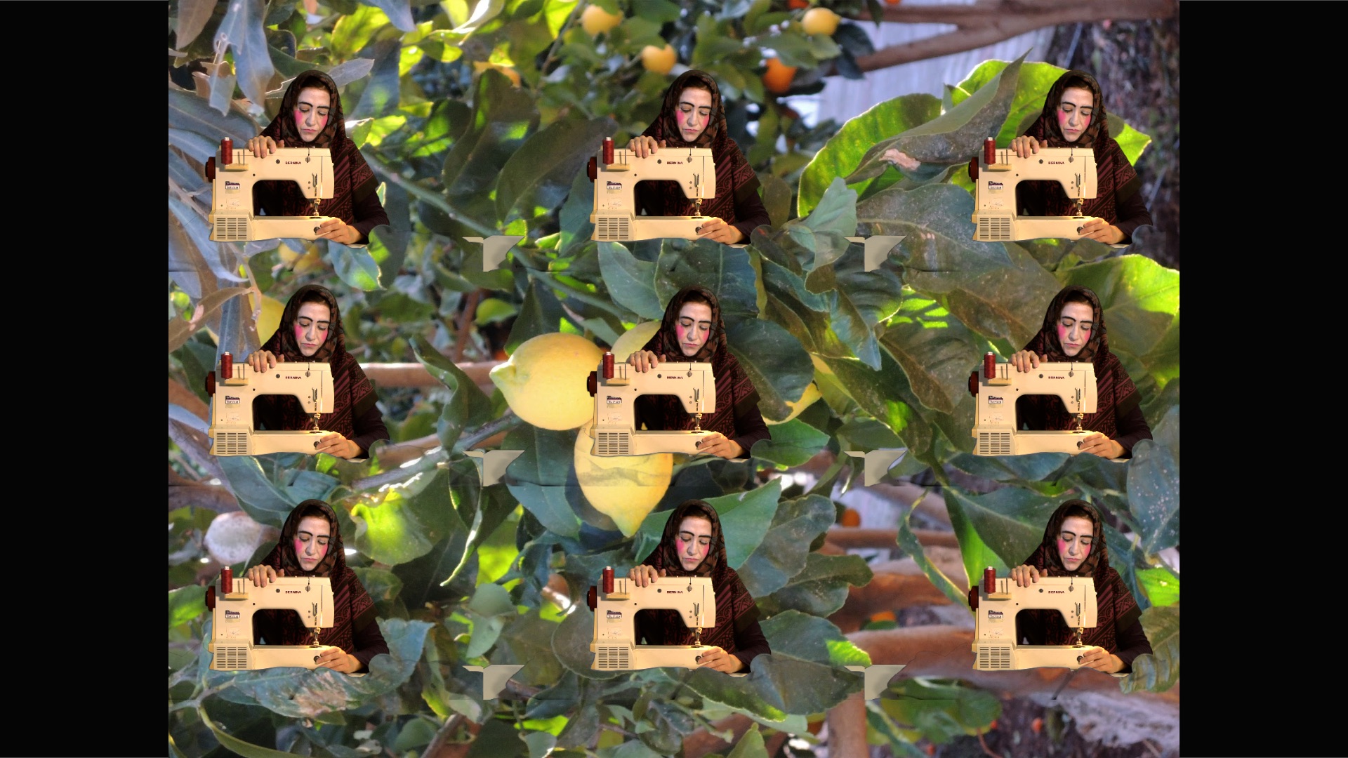still from 9 Halas in the lemon tree.jpg