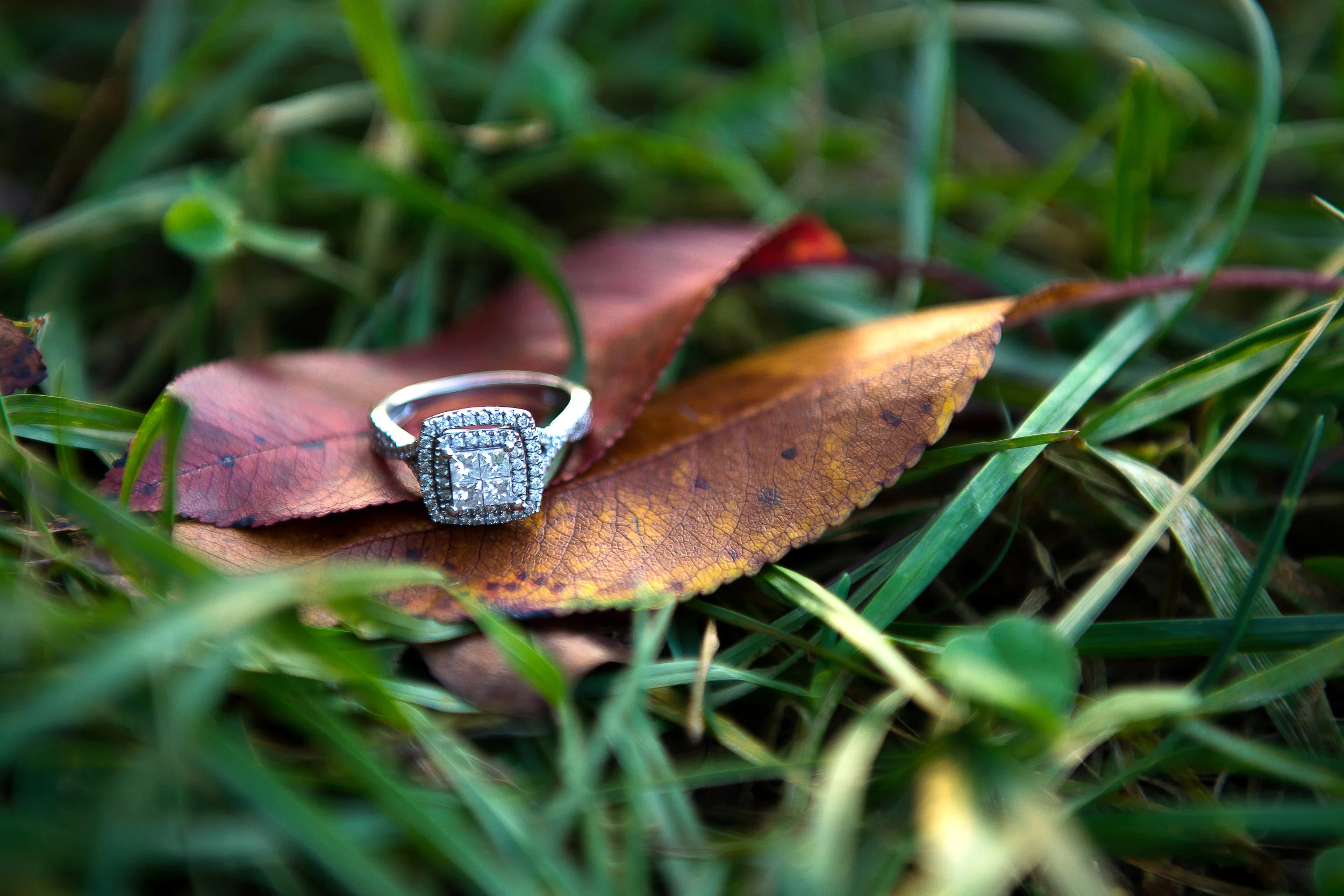 engagment-127.jpg