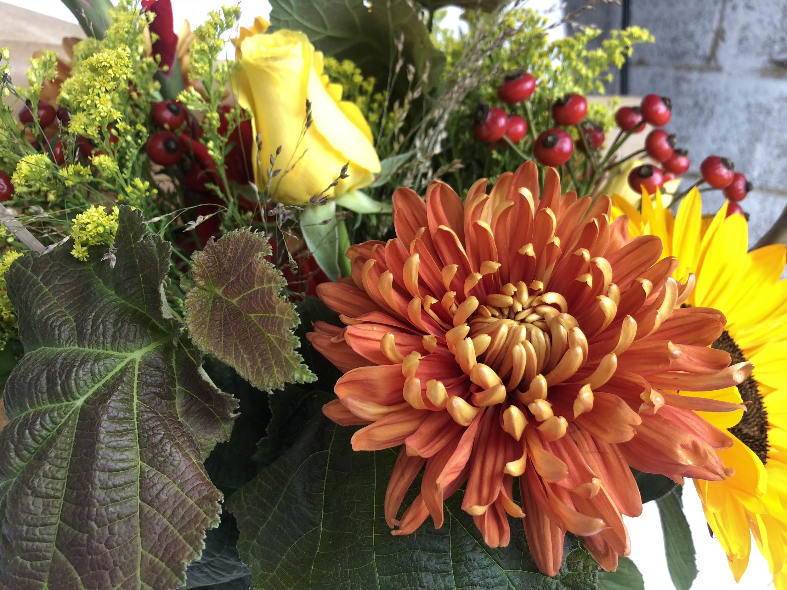 autumn glow 3.jpg