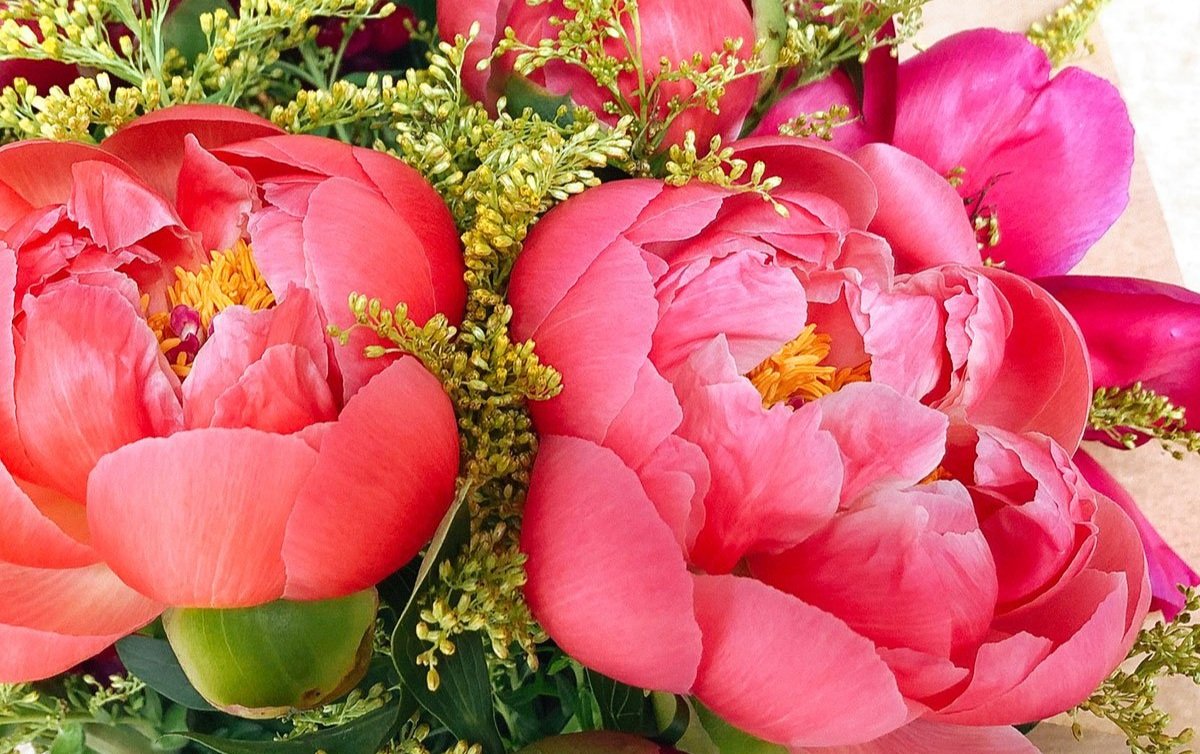 floom-gray-and-greenery-peony+close+up.jpg