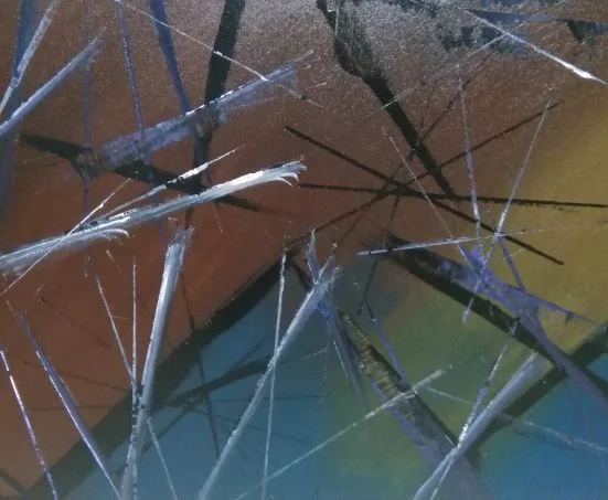 Winter Branches