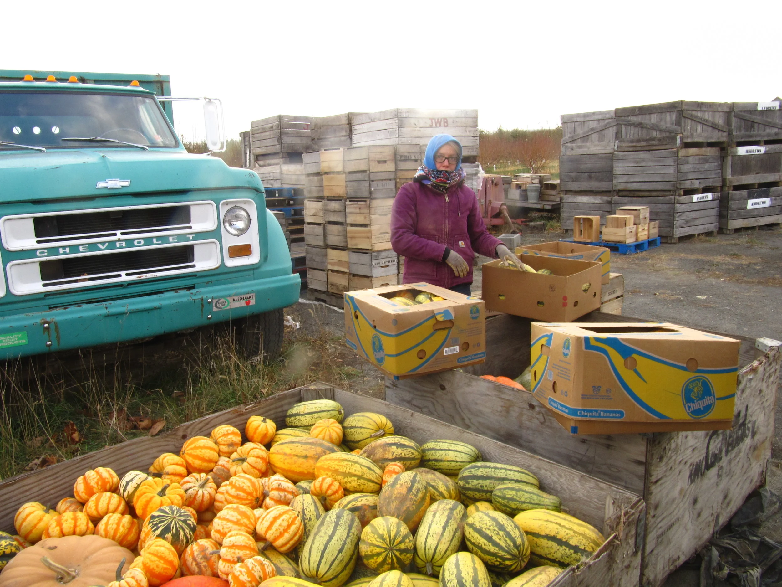 What are growers saying about The Gleaning Project?
