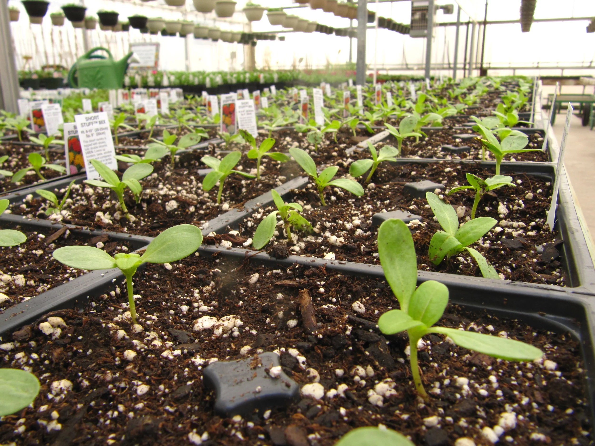 Jan and Jerry Althoff – The Foundation of TGP