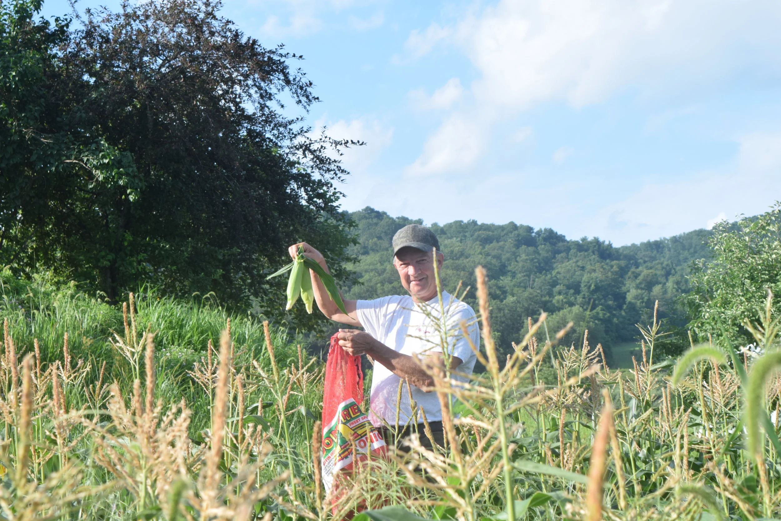 Why do you volunteer?