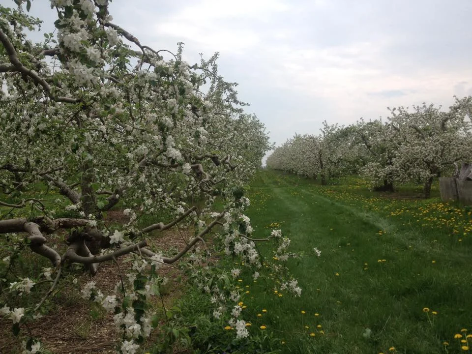 Gleaning Blog Coming Soon!