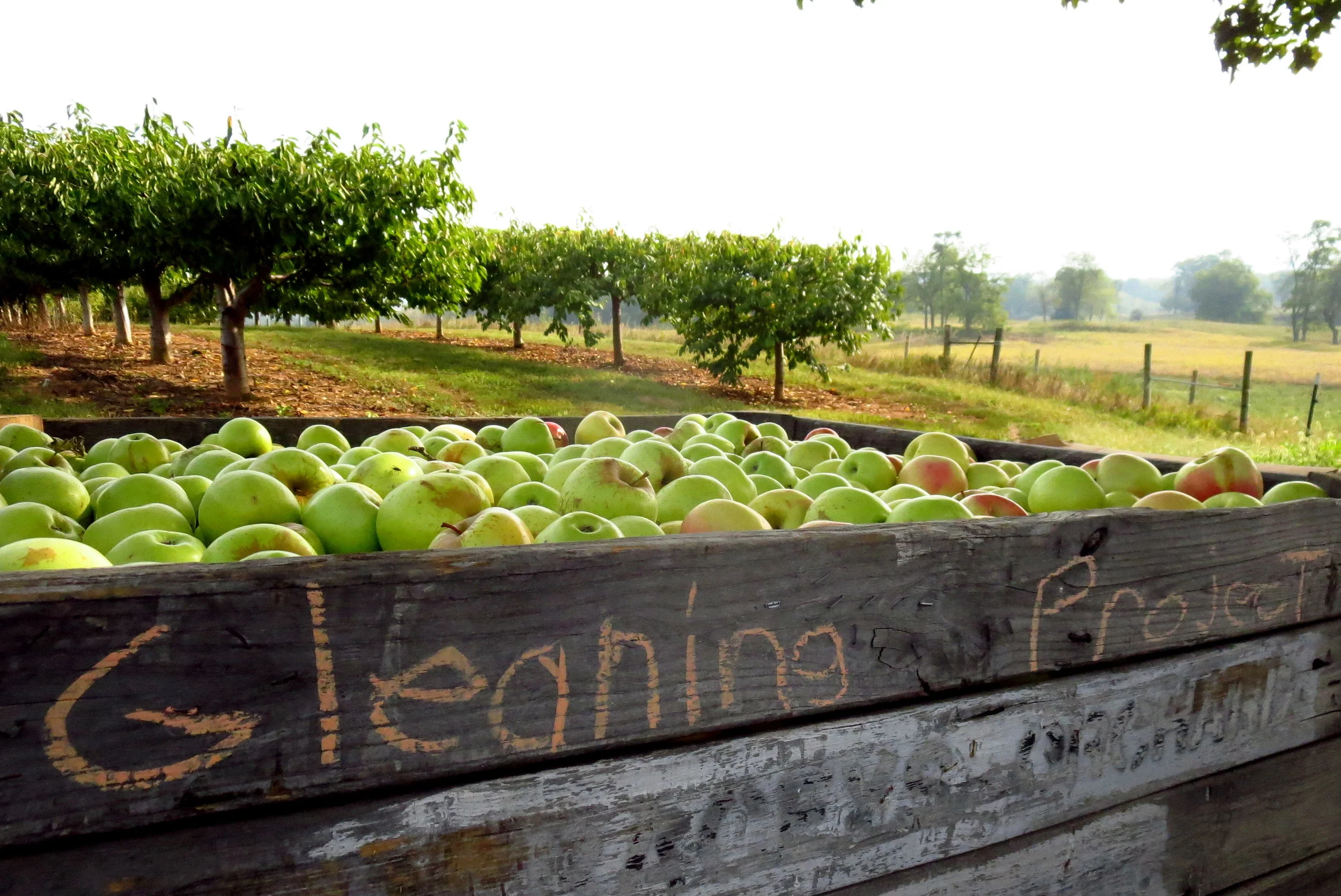 September's going quick.