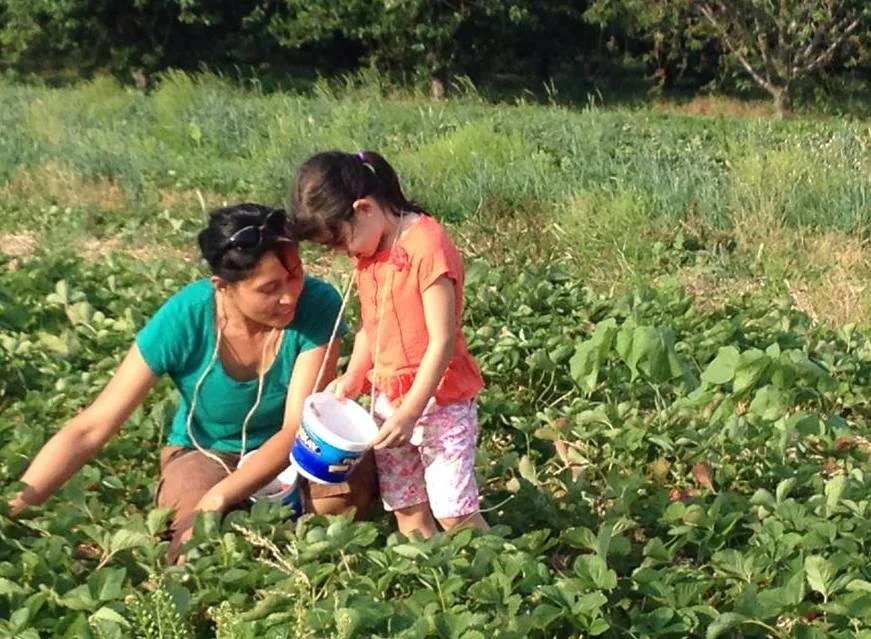 A Community Partner Perspective