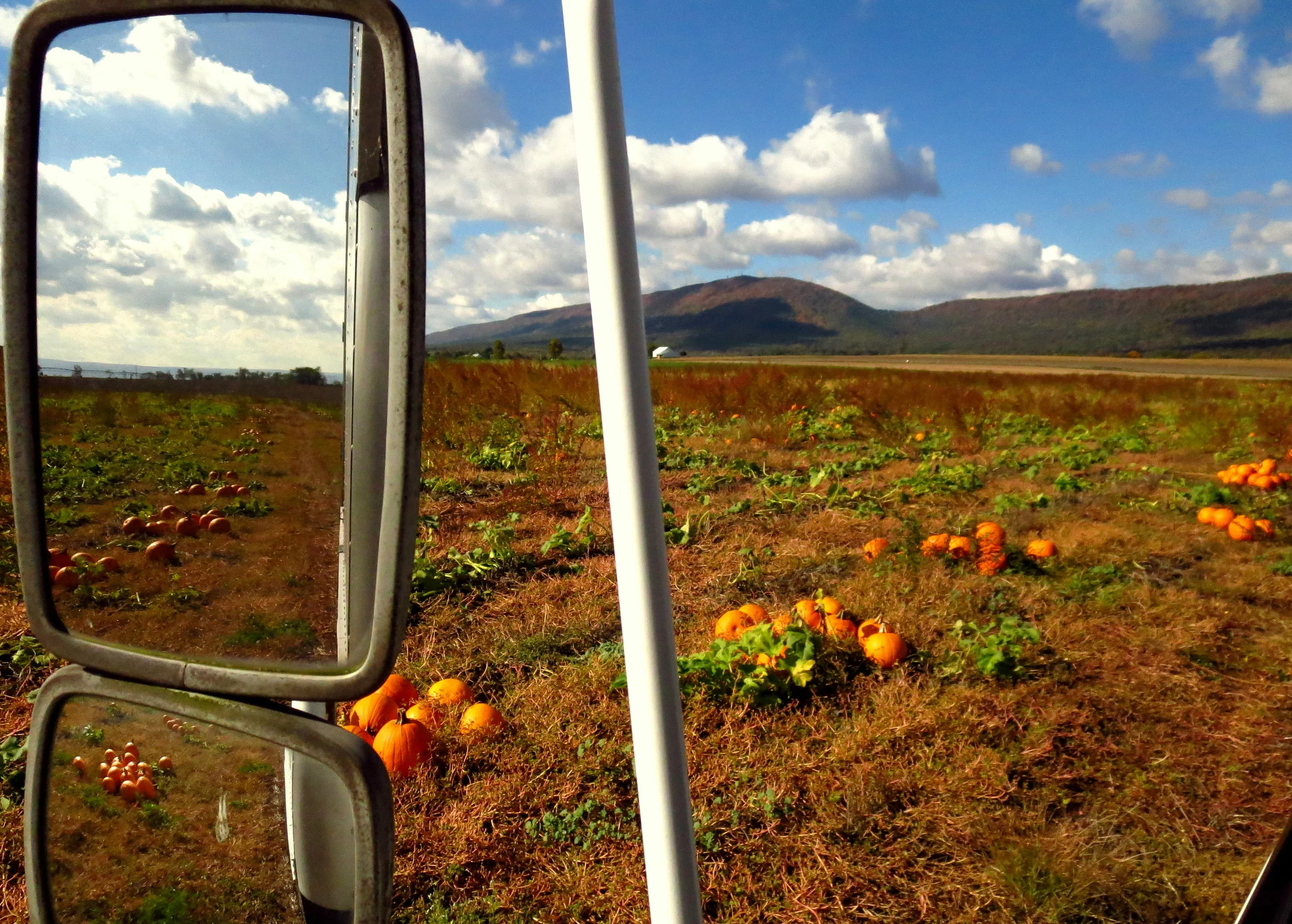 How long will gleaning last?