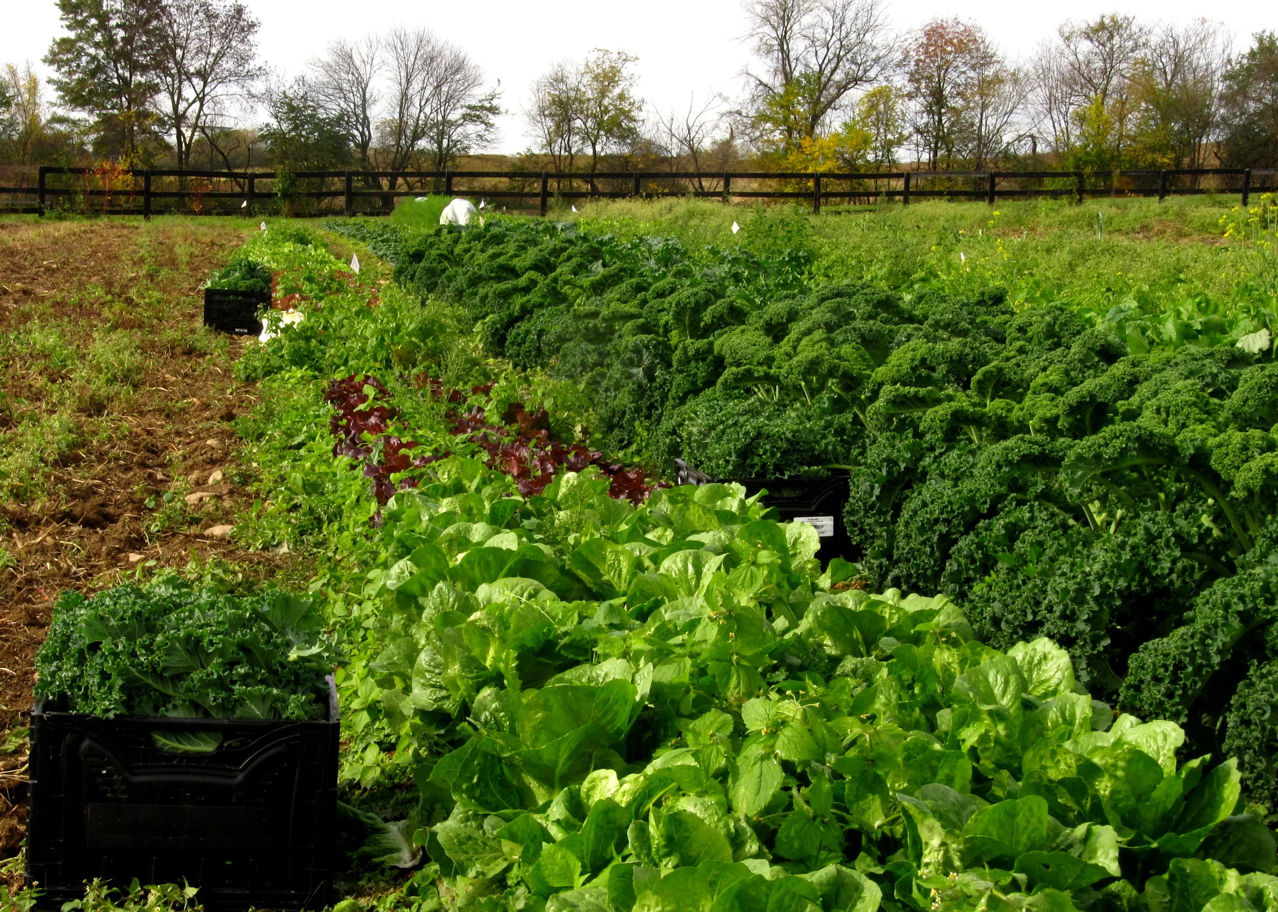 Oh wow.    It's the day before Thanksgiving.