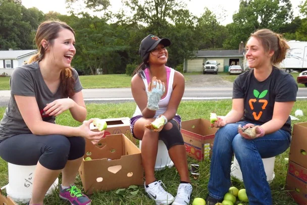 Apples, Cantaloupe, Cauliflower, Cucumbers, Fairytale eggplant, Green beans, Kale, Peppers, Strawberries, Swiss chard, Tomatoes, Watermelon, Zucchini...