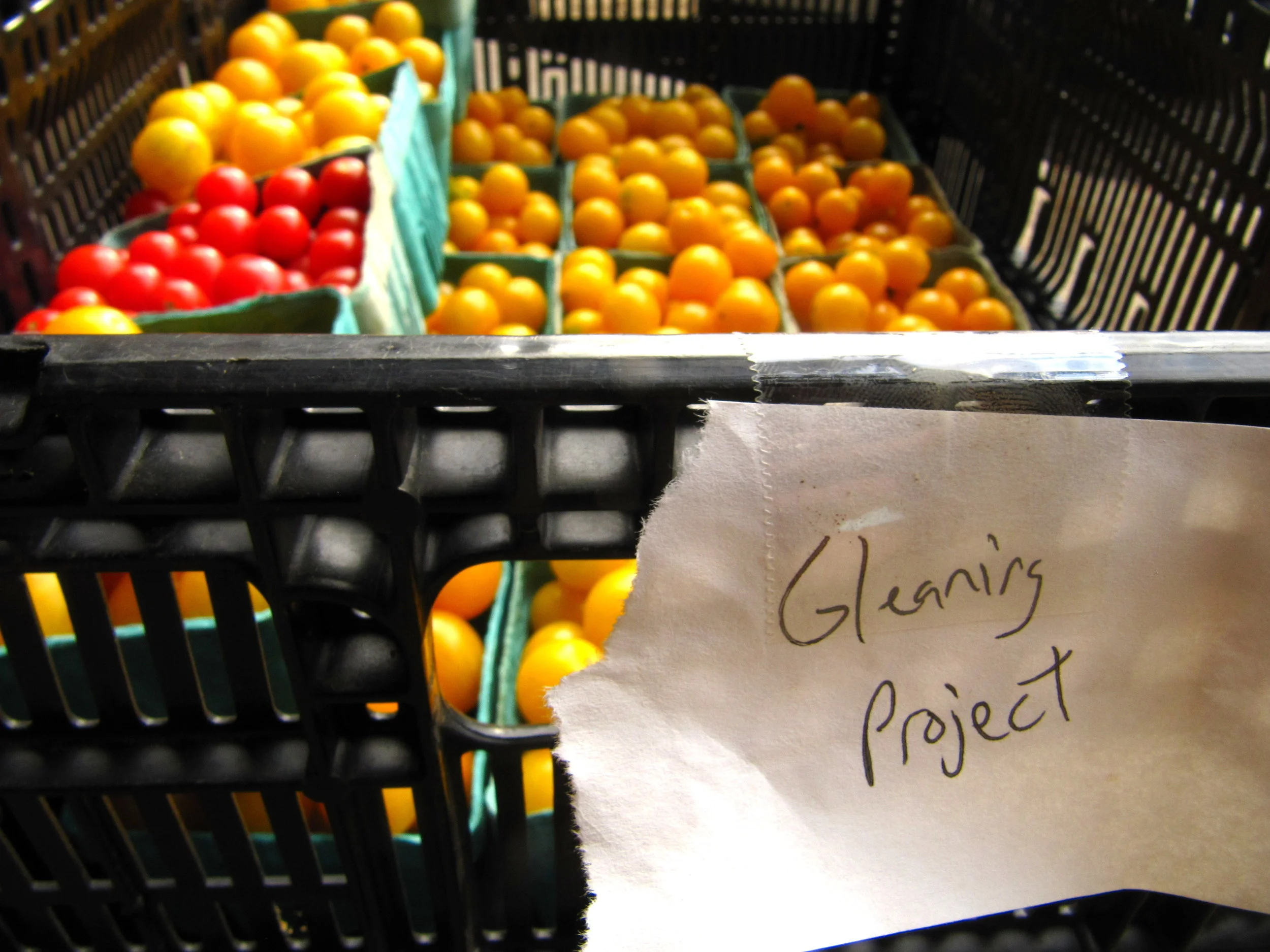 Gleaners Get Into Tax Policy