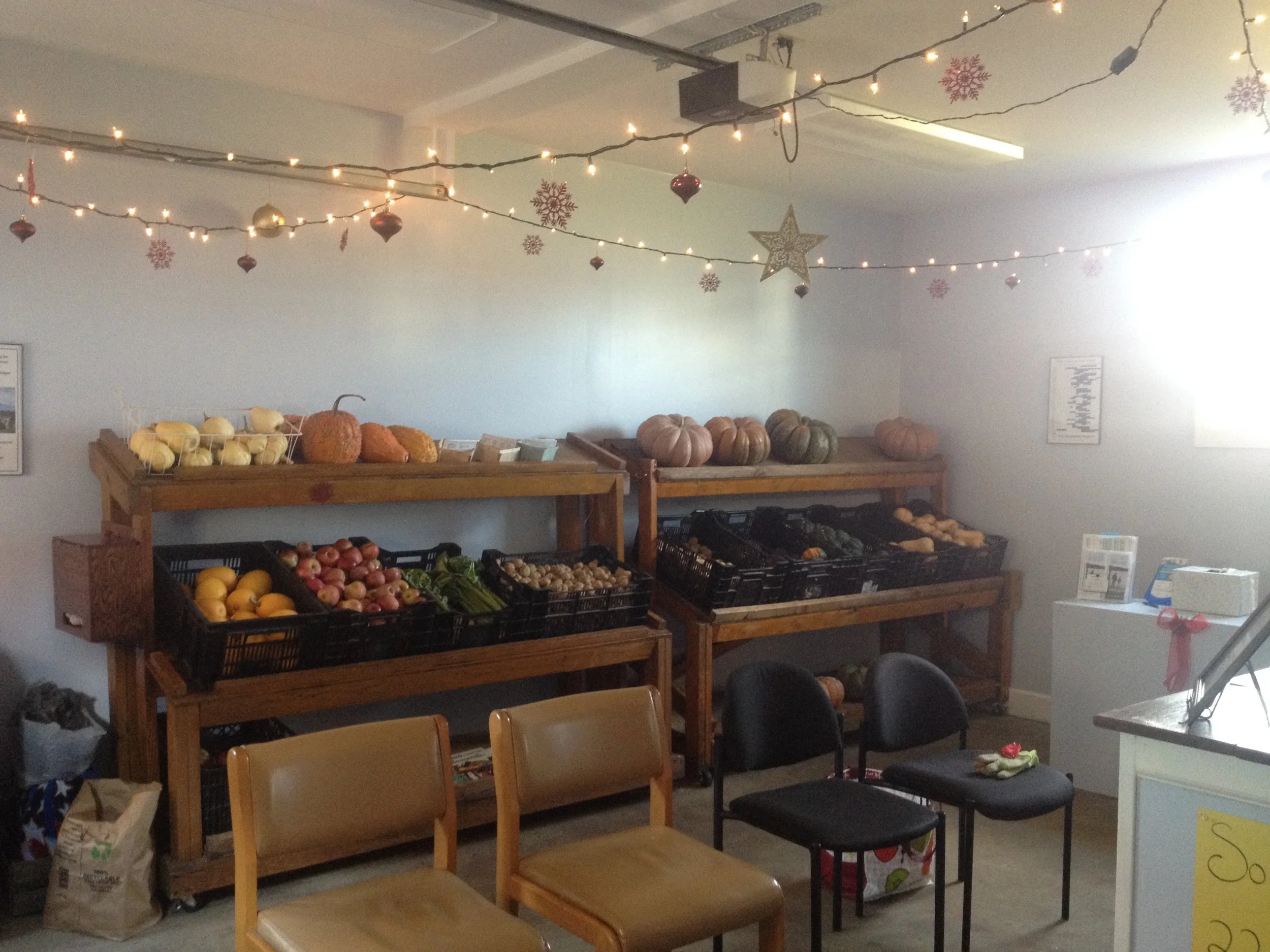 'Tis the Season for Holiday Giving