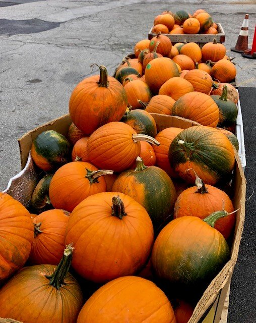 Pumpkins