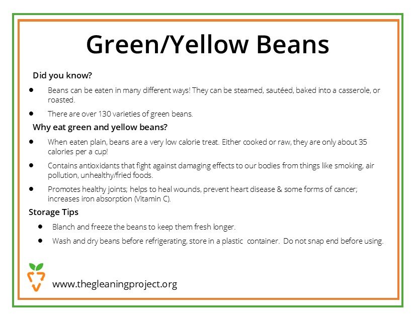 Green and Yellow Bean information.jpg