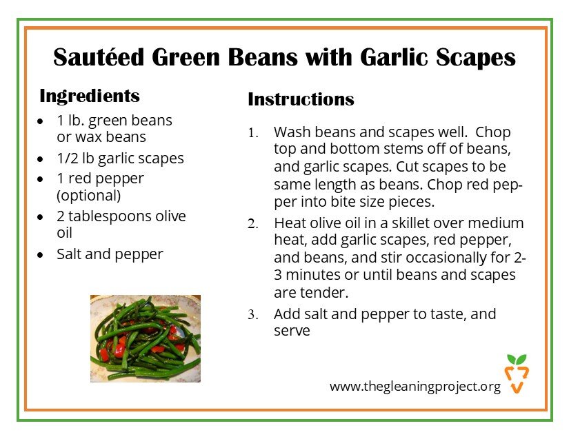 Green Beans Sauteed with Garlic Scapes.jpg