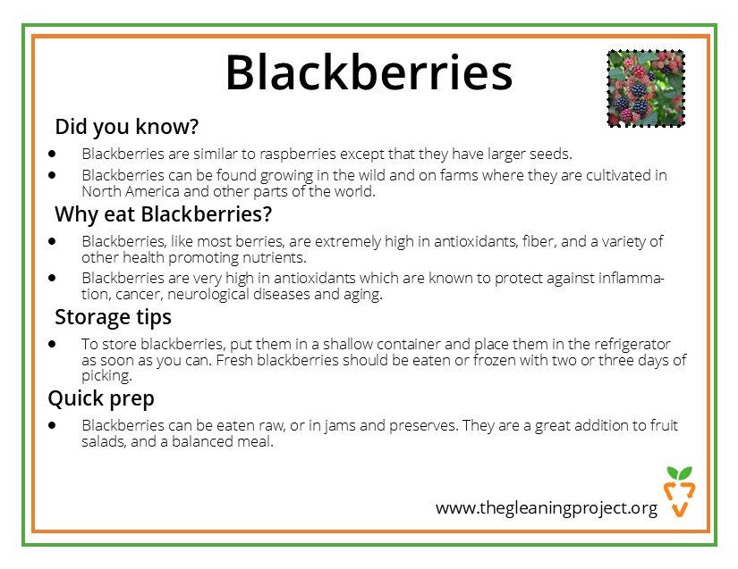 Blackberry Information.jpg