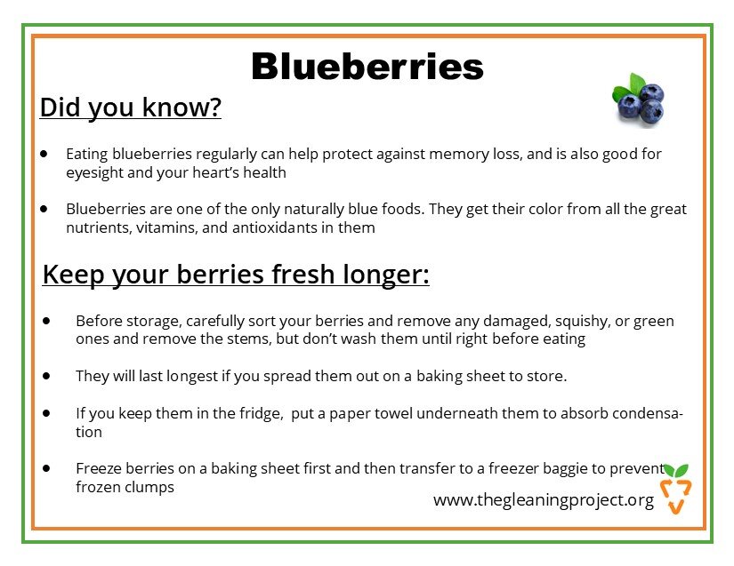 Blueberry Information.jpg