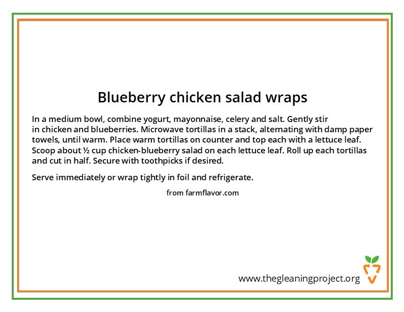 Blueberry Chicken Salad Wrap.jpg