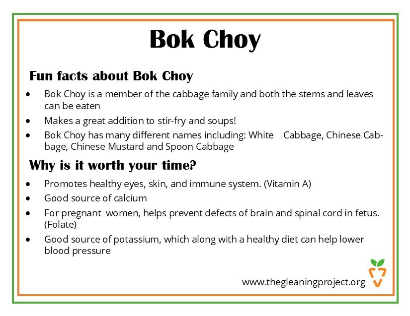 Bok Choy Information.jpg