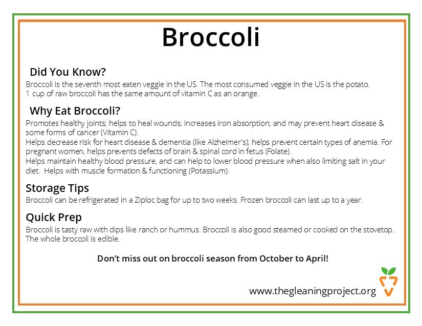 Broccoli Information.jpg