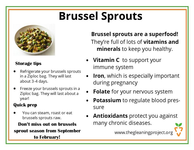 Brussels Sprout Information.jpg