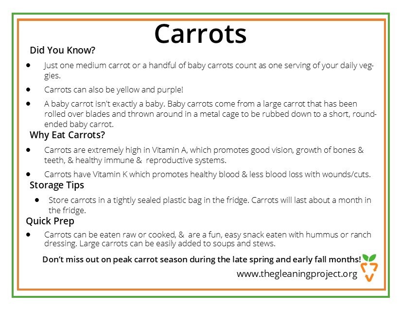 Carrot Information.jpg