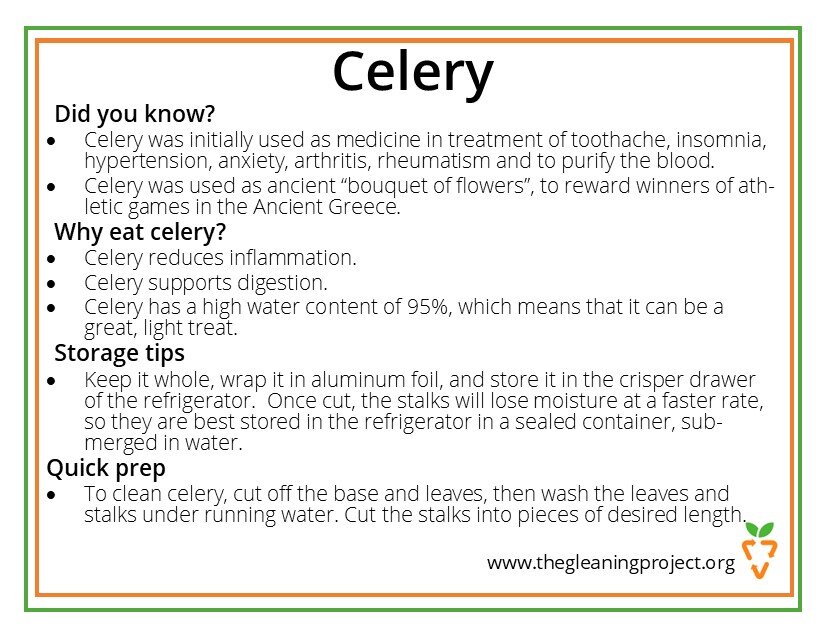 Celery Information.jpg