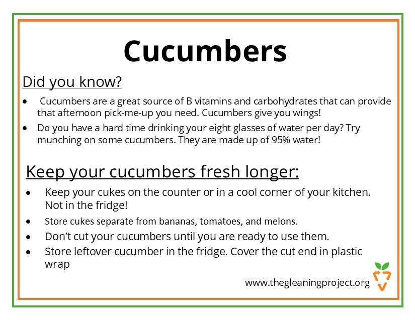 Cucumber Information.jpg