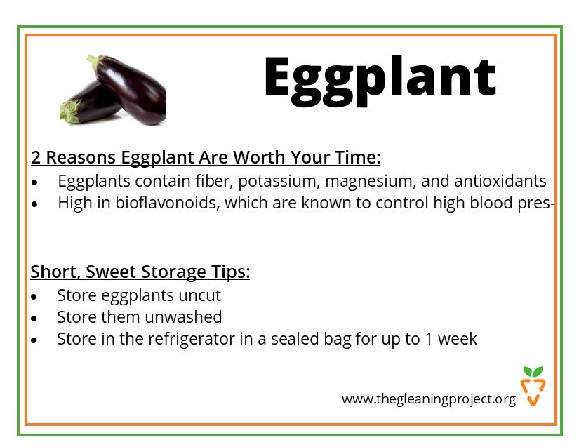 Eggplant Information.jpg