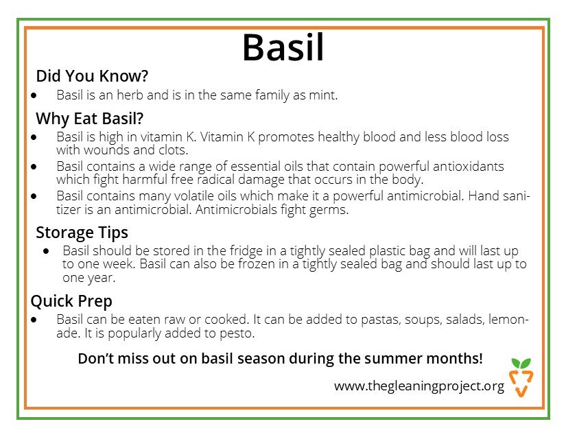 Basil Information.jpg