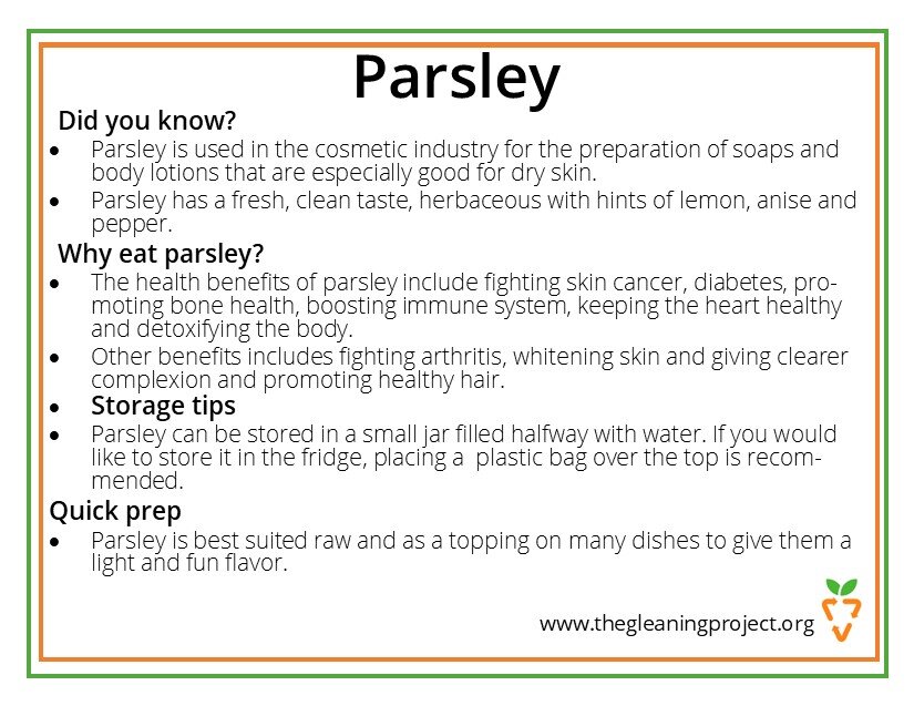 Parsley Information.jpg