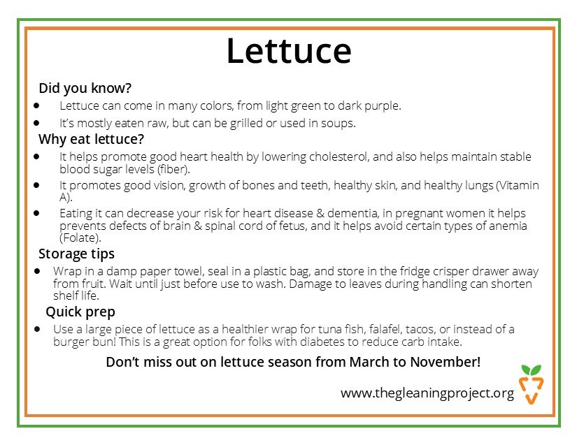 Lettuce Information.jpg