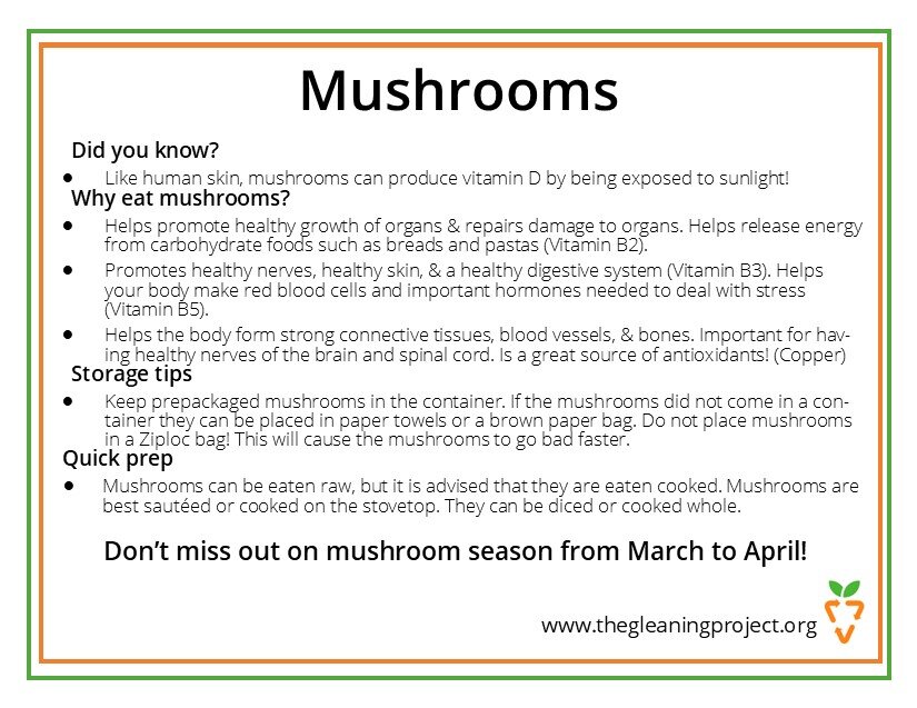 Mushroom Information.jpg