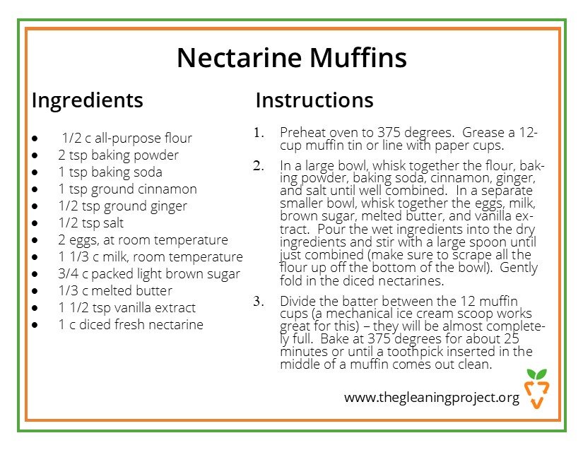 Nectarine Muffins.jpg