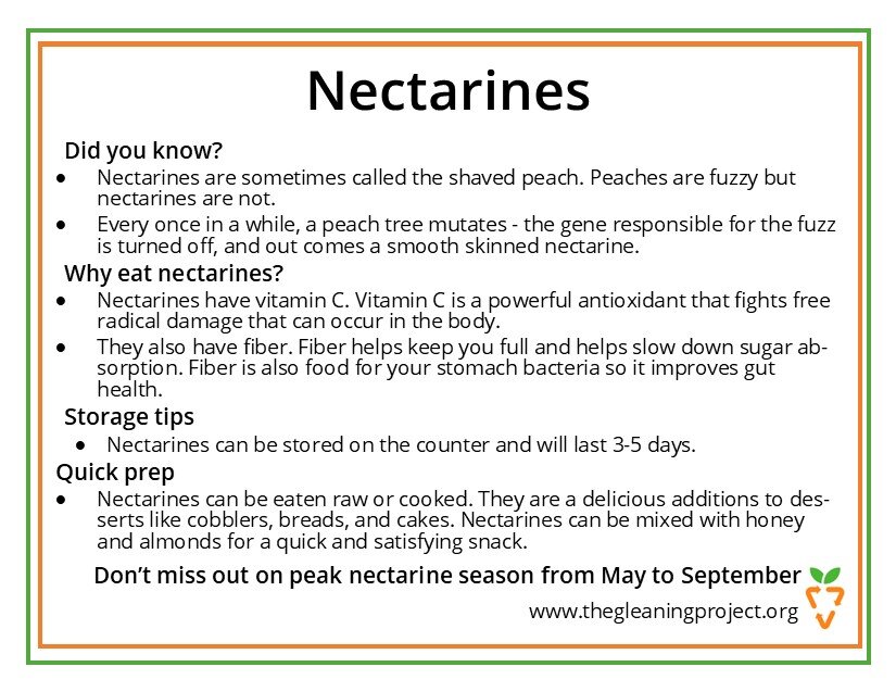 Nectarine Information.jpg