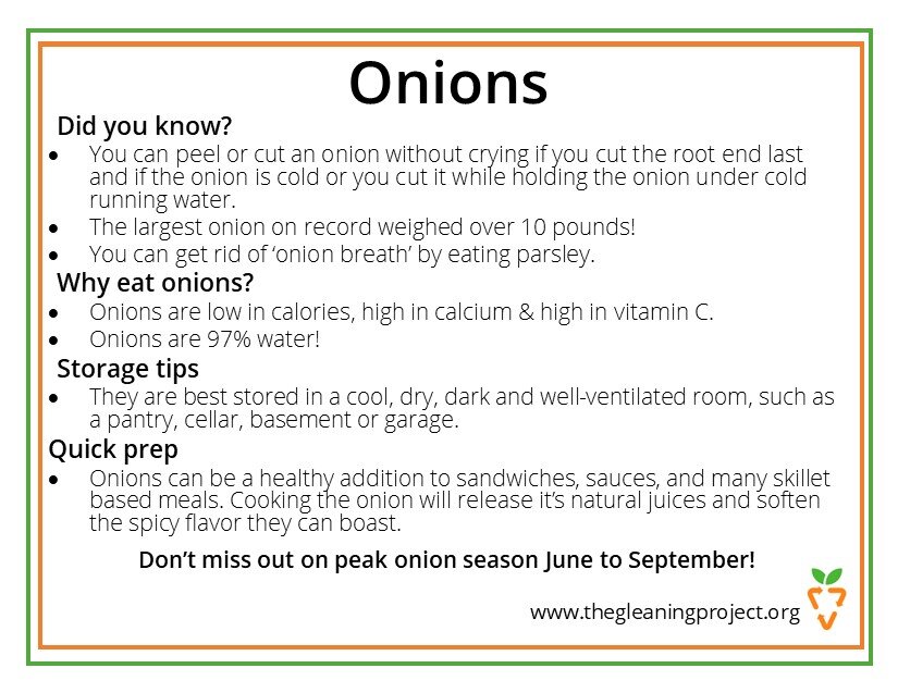 Onion Information.jpg