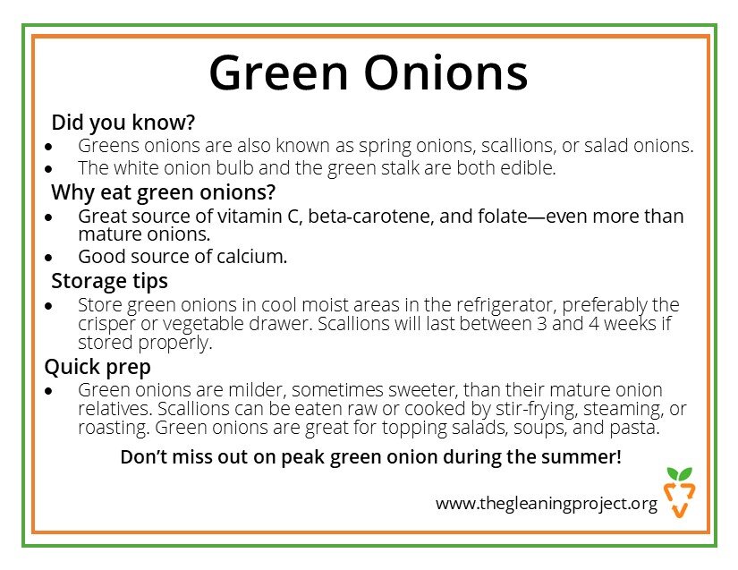 Green Onion Information.jpg