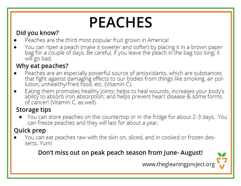 Peach Information.jpg