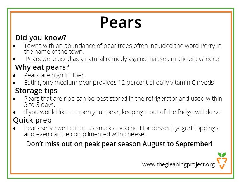 Pears Information.jpg