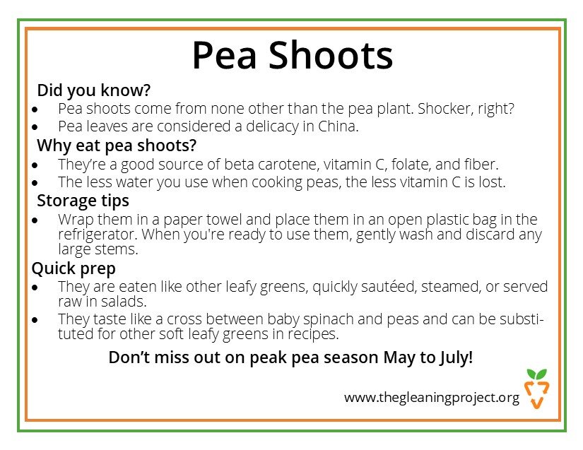 Pea Shoots Information.jpg