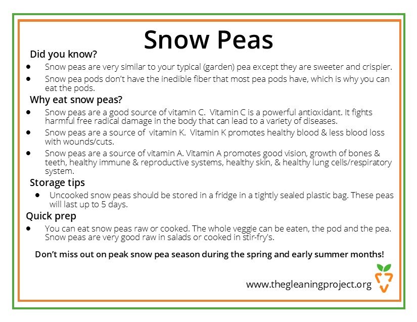 Snow Pea Information.jpg