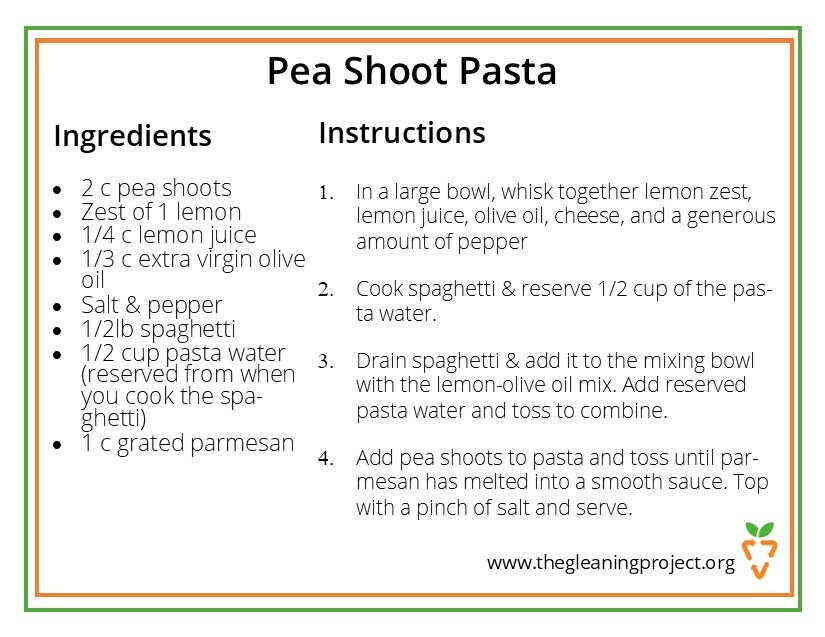 Pea Shoot Pasta.jpg